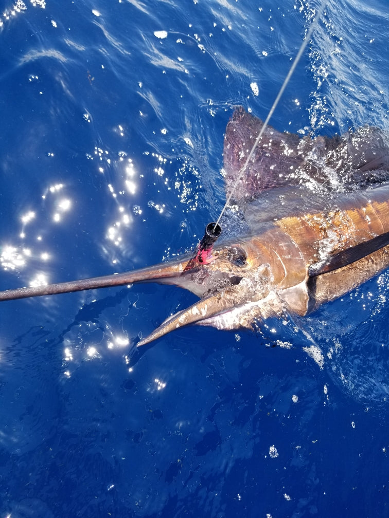 Nano Super Smoker Imperium Outfitters Inc