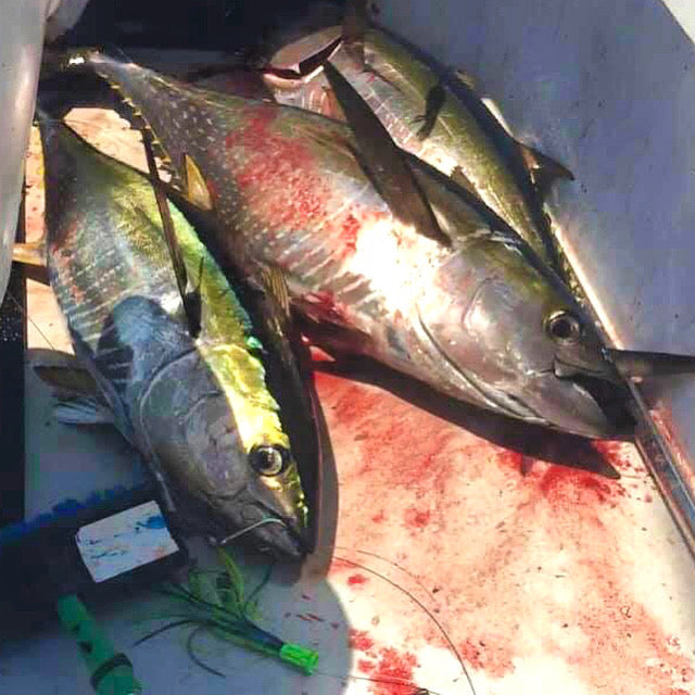 Nano Super Smoker Imperium Outfitters Inc