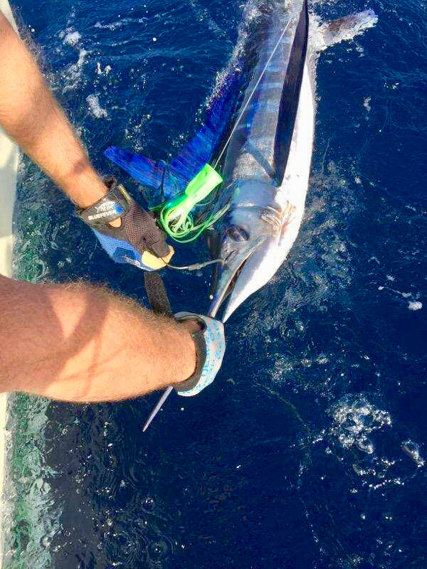 S3 Super Smoker Imperium Outfitters Inc